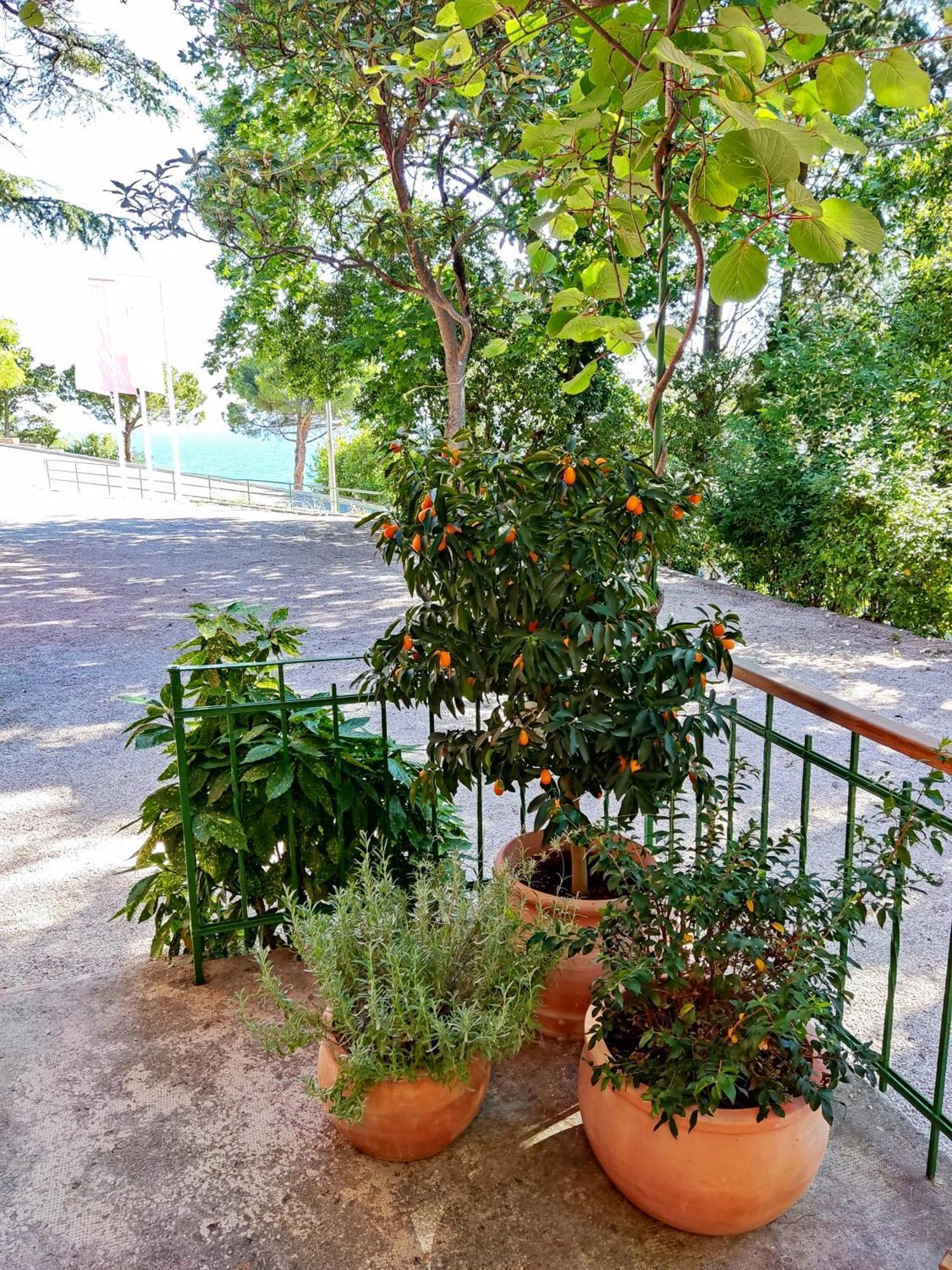 Morski Gaj Guest house *